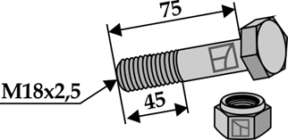 Bolt M18x2,5x75 m. låsemøtrik
