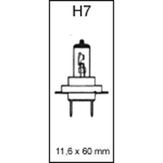 Hovedlyspære H7 12 volt 55 watt PX26D Long Life Heavy Duty
